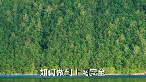 如何做到上網安全