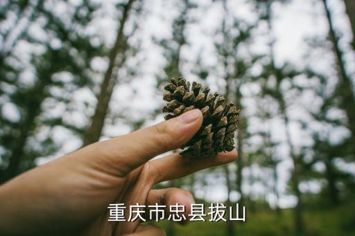 重慶市忠縣 海拔，重慶市忠縣善廣鄉(xiāng)的海撥高度是多少