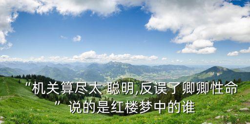 “機關算盡太 聰明,反誤了卿卿性命”說的是紅樓夢中的誰