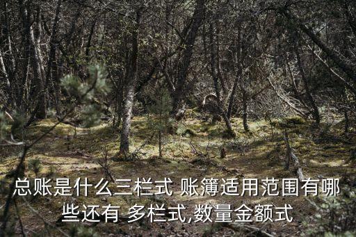 總賬是什么三欄式 賬簿適用范圍有哪些還有 多欄式,數量金額式
