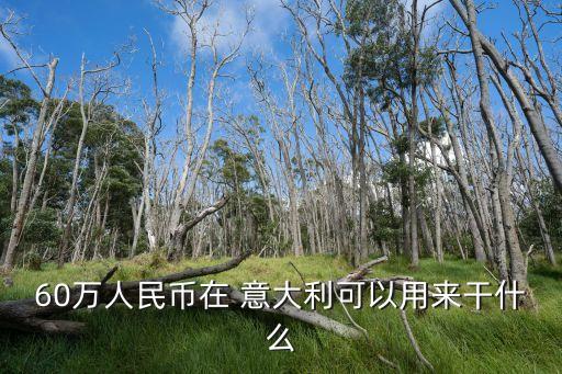 60萬人民幣在 意大利可以用來干什么