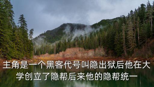 主角是一個黑客代號叫隱出獄后他在大學創立了隱幫后來他的隱幫統一
