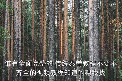 誰有全面完整的 傳統(tǒng)泰拳教程不要不齊全的視頻教程知道的幫我找