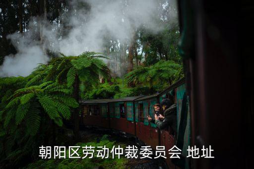 朝陽區勞動仲裁委員會 地址