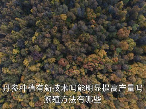 丹參種植有新技術(shù)嗎能明顯提高產(chǎn)量嗎繁殖方法有哪些
