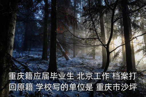 重慶籍應屆畢業生 北京工作 檔案打回原籍 學校寫的單位是 重慶市沙坪