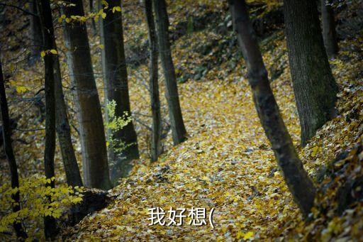 我好想,我不想長大,媽媽:我想成為好爸爸