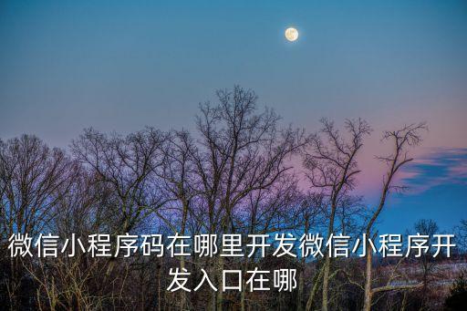 微信小程序碼在哪里開發(fā)微信小程序開發(fā)入口在哪