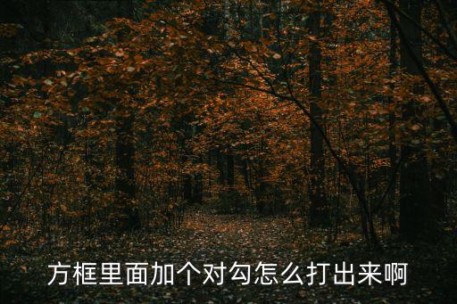 方框里面加個對勾怎么打出來啊
