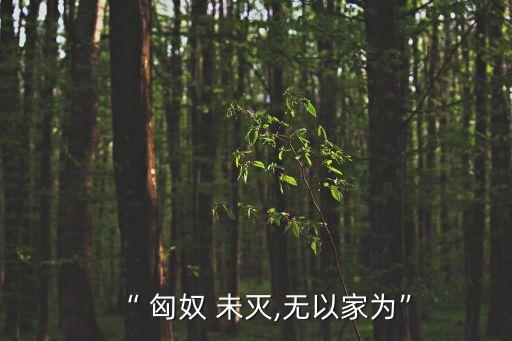 匈奴未滅,匈奴未滅，家為什么是霍去病的說辭