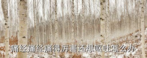 痛經痛經痛得厲害還想嘔吐怎么辦