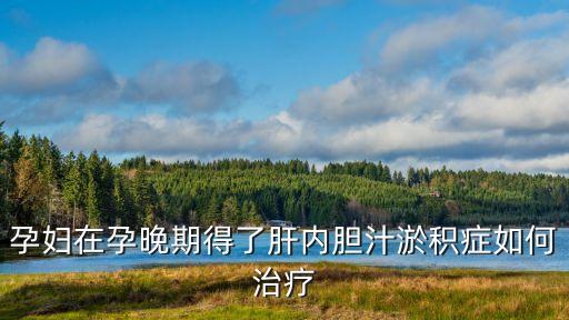 孕婦在孕晚期得了肝內膽汁淤積癥如何治療