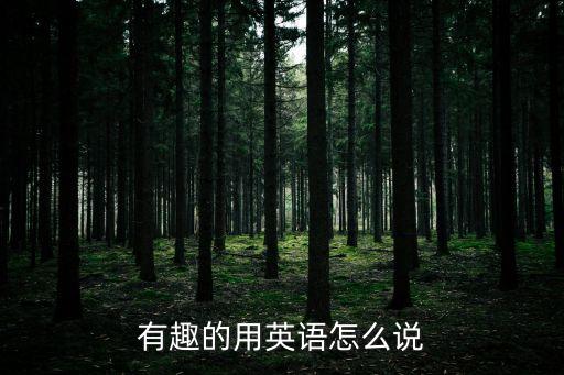 有趣的用英語怎么說