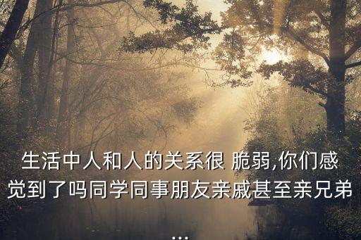 脆弱關(guān)系,脆弱關(guān)系寫下這首歌