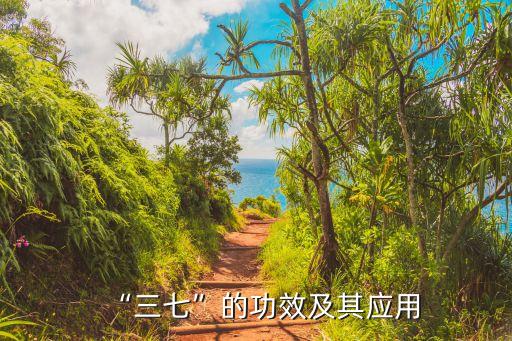 田七的功效,研究:三七具有補血作用抗血栓功效