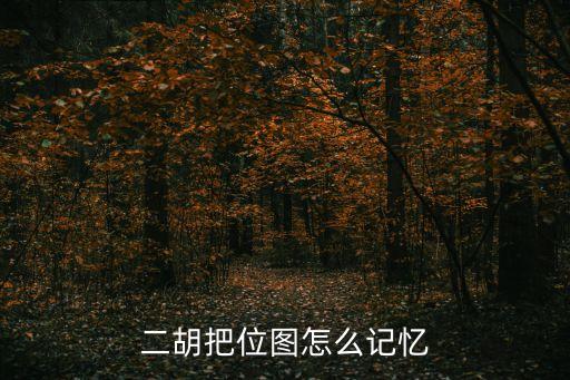 二胡把位圖，二胡把位圖上的一二三四是什么含義