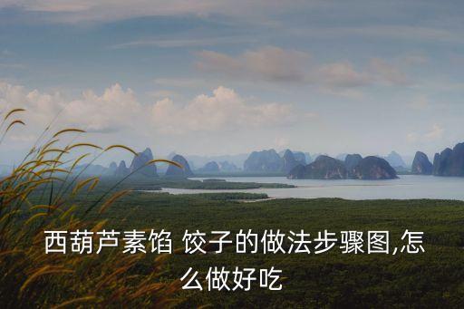  西葫蘆素餡 餃子的做法步驟圖,怎么做好吃