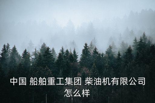 船舶柴油機,中國船舶低速柴油機行業骨干企業很好采用增壓機
