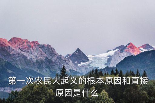  第一次農(nóng)民大起義的根本原因和直接原因是什么