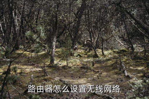 路由器怎么設置無線網絡