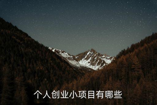 個人創業小生意，個人創業小項目有哪些