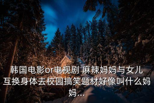 麻辣老媽,結(jié)婚不是兩個(gè)人的事而是一場(chǎng)家庭的事