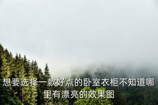 想要選擇一款好點的臥室衣柜不知道哪里有漂亮的效果圖