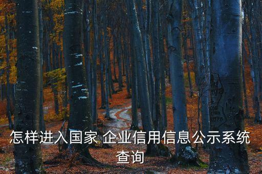 全國企業信息系統,全國企業信用信息公示系統怎么做?