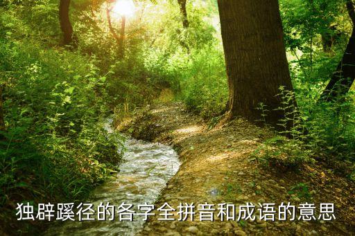 獨辟蹊徑是什么意思，獨辟蹊徑的各字全拼音和成語的意思