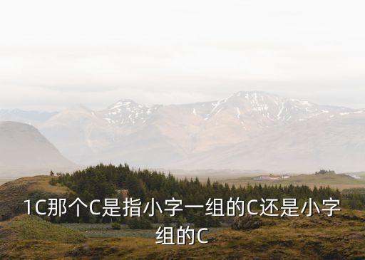 1C那個C是指小字一組的C還是小字組的C
