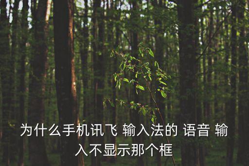 為什么手機訊飛 輸入法的 語音 輸入不顯示那個框