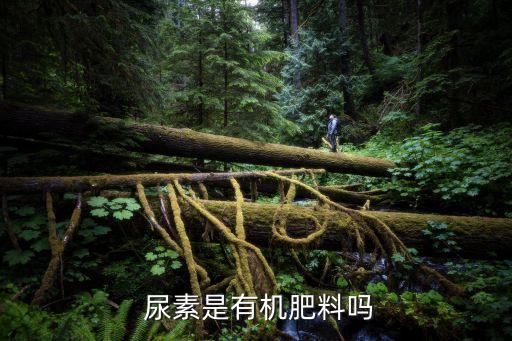 尿素是有機物嗎,尿素不是有機肥而是速效肥