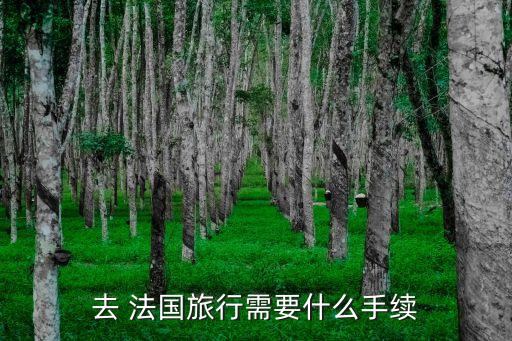 去 法國旅行需要什么手續
