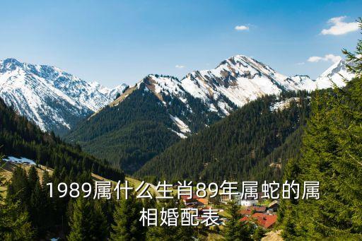 1989年蛇,屬蛇人的生活是怎樣的,202年1989出生