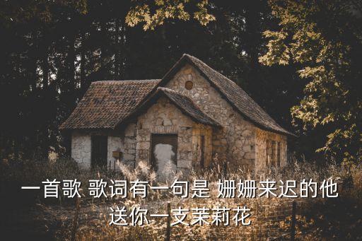 一首歌 歌詞有一句是 姍姍來遲的他送你一支茉莉花