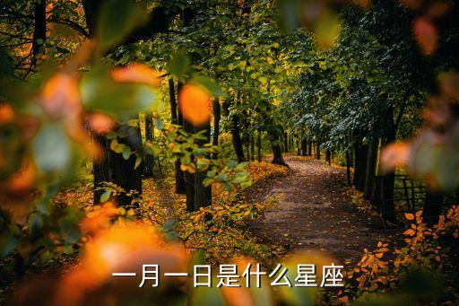 一月一日是什么星座