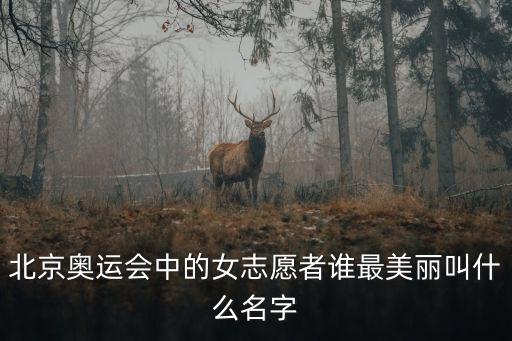 北京奧運會中的女志愿者誰最美麗叫什么名字