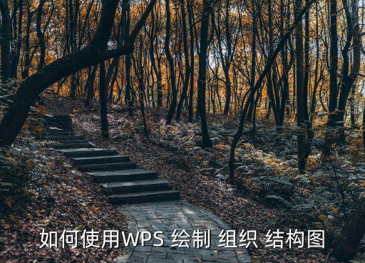 組織結(jié)構(gòu)圖的繪制方法,怎么用wps制作組織結(jié)構(gòu)圖?