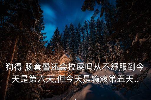 狗得 腸套疊還會拉屎嗎從不舒服到今天是第六天,但今天是輸液第五天...