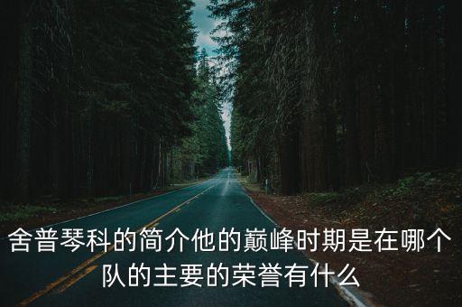 舍普琴科的簡介他的巔峰時期是在哪個隊(duì)的主要的榮譽(yù)有什么