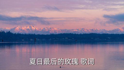 夏日最后的玫瑰 歌詞
