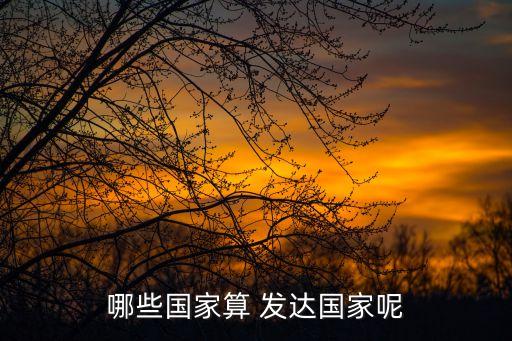 哪些國家算 發(fā)達(dá)國家呢