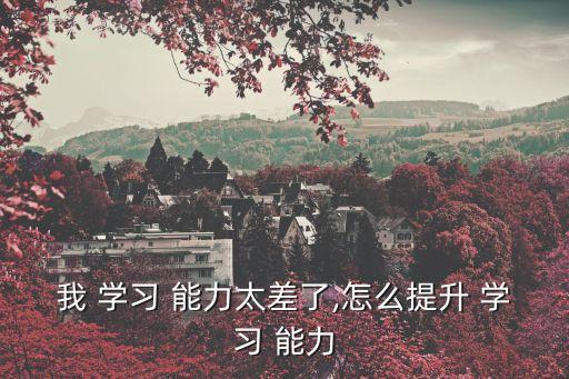 我 學習 能力太差了,怎么提升 學習 能力