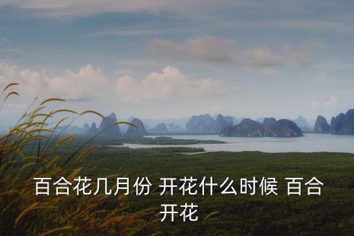  百合花幾月份 開花什么時(shí)候 百合 開花