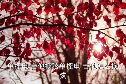 單搖電 吉他換弦單搖電 吉他怎么換弦