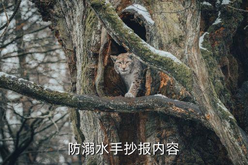 防溺水手抄報內容