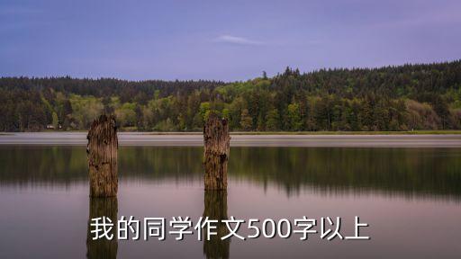 我同學，我的同學作文400字