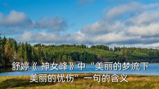  舒婷《 神女峰》中“美麗的夢(mèng)流下美麗的憂傷”一句的含義