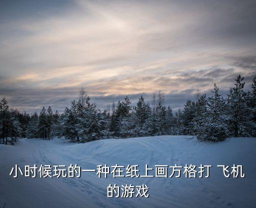 小時候玩的一種在紙上畫方格打 飛機的游戲