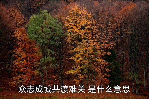 眾志成城共渡難關(guān) 是什么意思